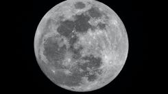 Cosmic Radiation on the Moon: How Dangerous is it?