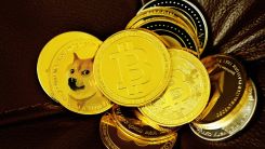 Dogecoin Price Boost: Elon Musk Joins Mark Cuban in Empowering Doge